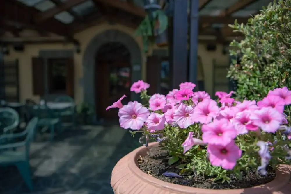 Hotel Valle Verde Pievepelago